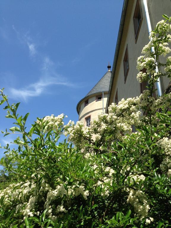 Hotel Ev.Familienferien-Und Bildungsstaette Ebernburg Bad Münster am Stein-Ebernburg Exteriér fotografie