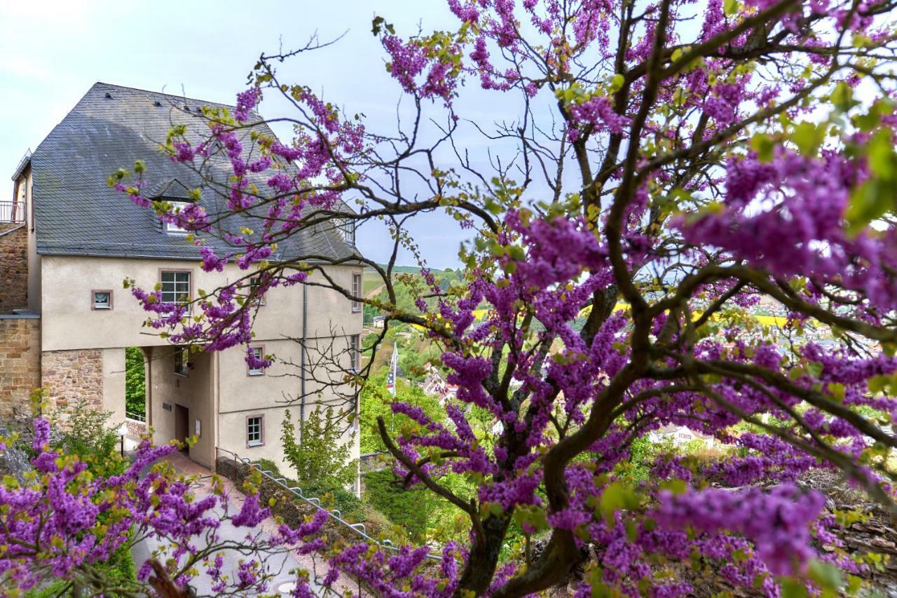 Hotel Ev.Familienferien-Und Bildungsstaette Ebernburg Bad Münster am Stein-Ebernburg Exteriér fotografie